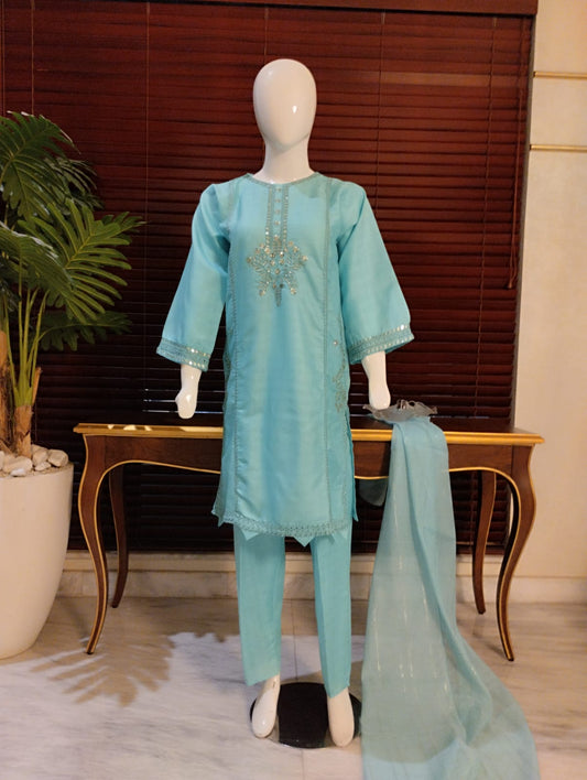 Embroided 3 piece Ready to wear