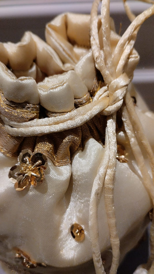Skin Gold Pouch